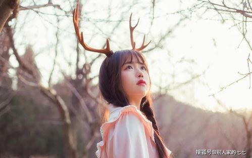 旧爱重逢绮梦（京枝欲夜）,一段跨越时光的浪漫邂逅