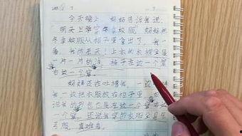 教师日记,记录教育点滴与心灵感悟