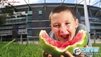 吃瓜比赛表情包下载